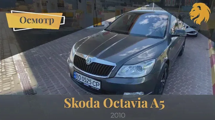 Обзор Skoda Octavia A5 2010 | Осмотр в рамках "подбора под ключ"